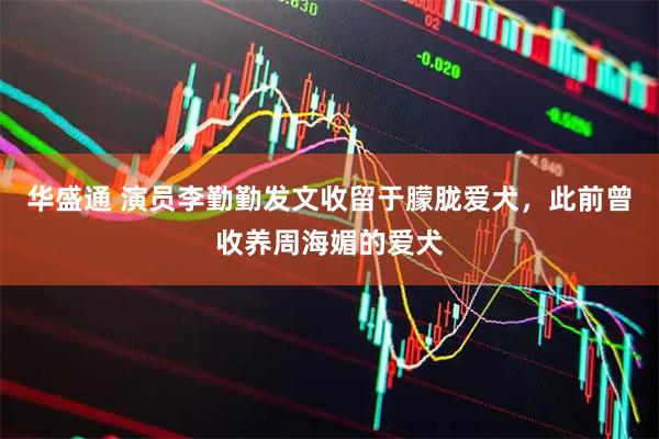 华盛通 演员李勤勤发文收留于朦胧爱犬，此前曾收养周海媚的爱犬