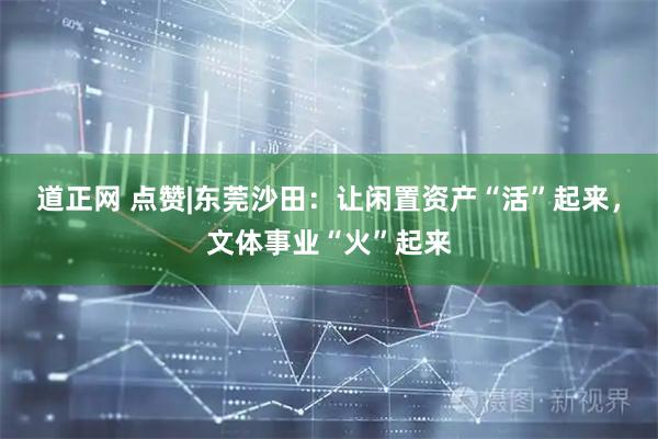 道正网 点赞|东莞沙田：让闲置资产“活”起来，文体事业“火”起来