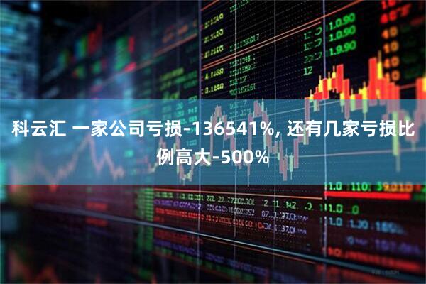科云汇 一家公司亏损-136541%, 还有几家亏损比例高大-500%