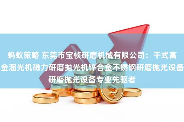 蚂蚁策略 东莞市宝桢研磨机械有限公司：干式高速溜光机五金溜光机磁力研磨抛光机锌合金不锈钢研磨抛光设备专业先驱者