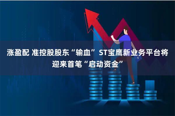 涨盈配 准控股股东“输血” ST宝鹰新业务平台将迎来首笔“启动资金”