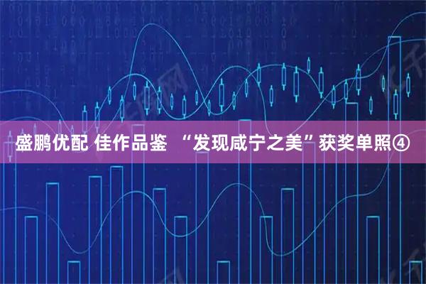 盛鹏优配 佳作品鉴  “发现咸宁之美”获奖单照④