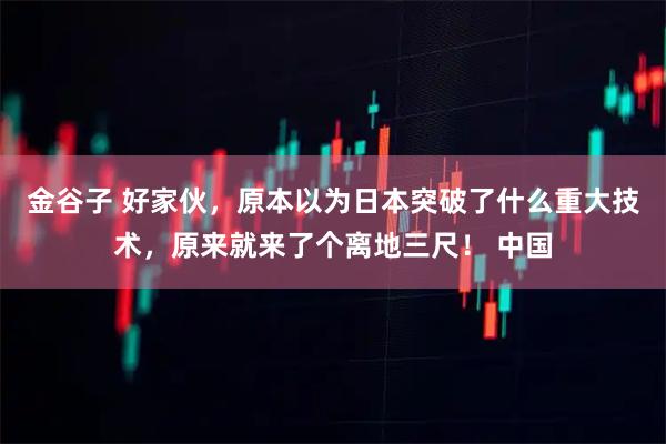 金谷子 好家伙，原本以为日本突破了什么重大技术，原来就来了个离地三尺！ 中国